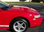 Ford Mustang SVT Cobra Coupe 1999 года